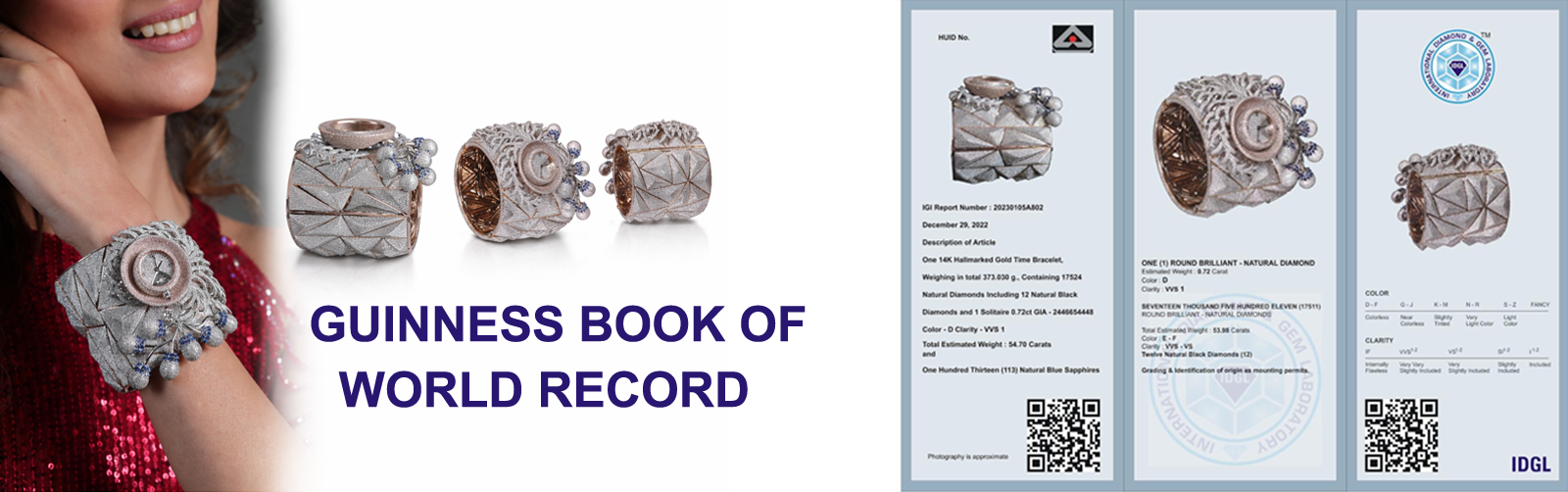 guinness-world-record